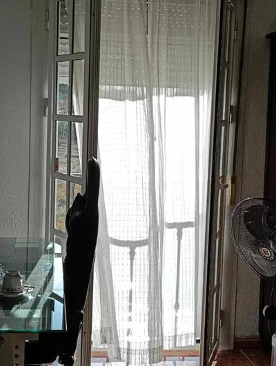 La casa de Marifé, a 15" de Sevilla y a 30" del aeropuerto — foto 10