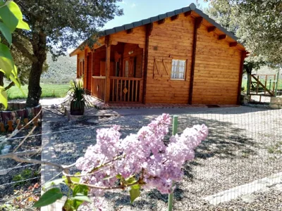 La casa del estanque — foto 6
