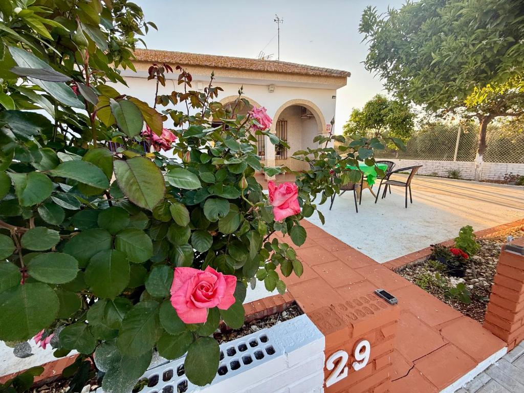 La Casa del Flamenco