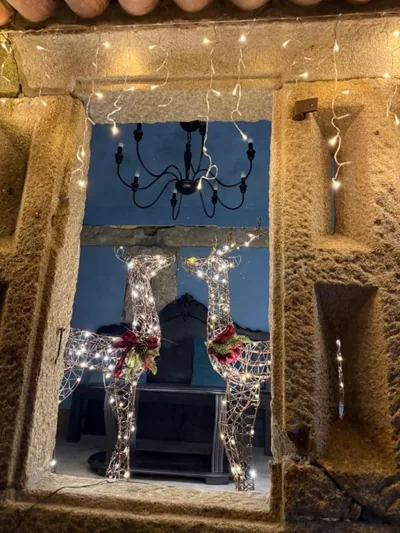 La Casa del Horreo — Foto 11