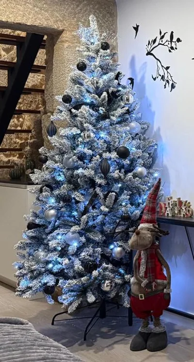La Casa del Horreo — Foto 12