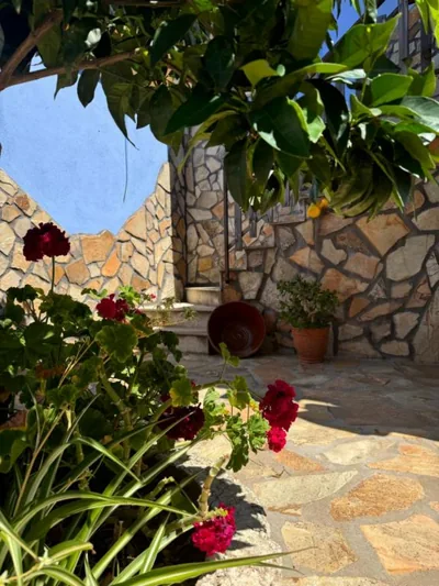 La Casa del Pueblo con piscina y barbacoa — foto 10