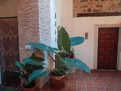 La Casa Toledana - patio y terraza con vistas — 写真 12