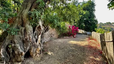 La Casa Turquesa — foto 8