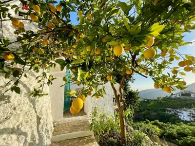 La Casa Turquesa — foto 9