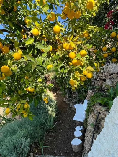 La Casa Turquesa — foto 12