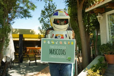 La Casa Verde — foto 5
