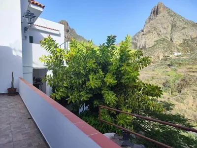 La Casa Vieja — foto 6