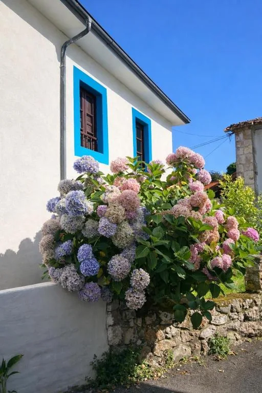 La casina de Barro
