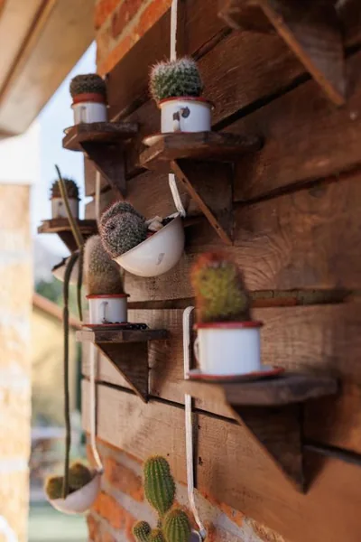 la casina de Parres — foto 10