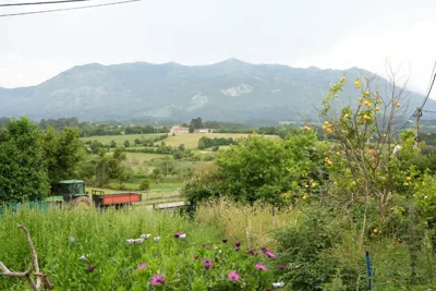 La casina de Tomás — foto 11