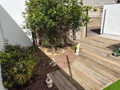 La casita de Aitor; campo y playa en el Médano — foto 11