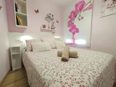 La Casita de Ana. Puerta Valencia. Casco antiguo — foto 7