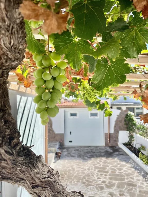 Casa de 2 dormitorios — La Casita de la Parra, El Hierro