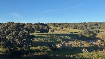 La Casita de Rosa Sierra de Francia - Cozy Rural House with Fireplace — photo 9