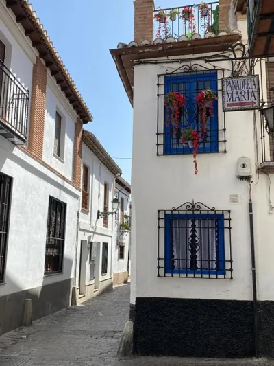 La Casita del Albayzín — foto 9