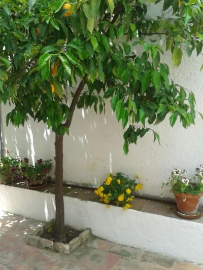 La Casita del Corralon — Foto 11