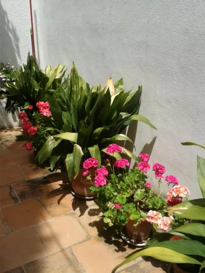 La Casita del Corralon — Foto 12