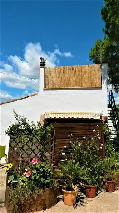 La Casita — 写真 12