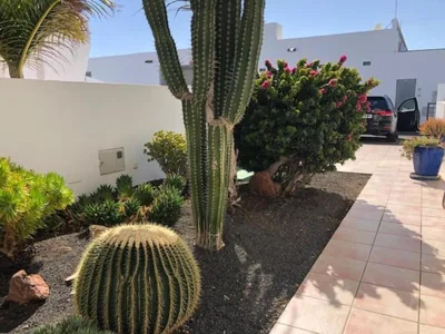 La Casita — foto 11