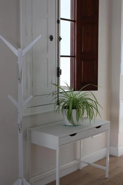 La Casona de Galdós — Foto 6