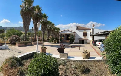 La chumbera — foto 7