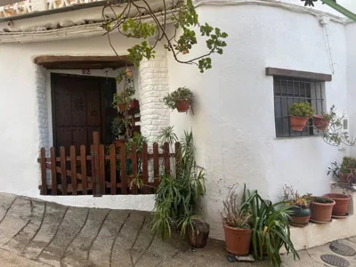 La Cuadra de Anita — foto 6