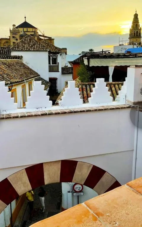 Penthouse Suite with private terrace and view — La Ermita Suites - Único Hotel Monumento de Córdoba