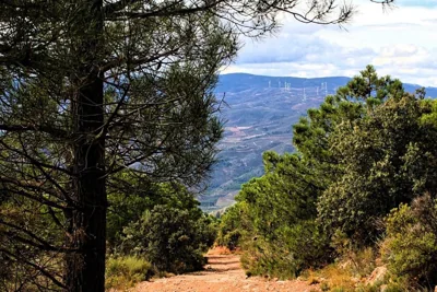La Fuente Retreat — foto 11