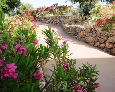 La Fuente Retreat — foto 12