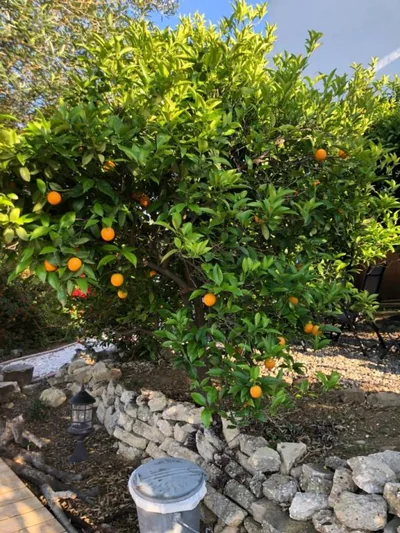 La Hermosa Vista — foto 11
