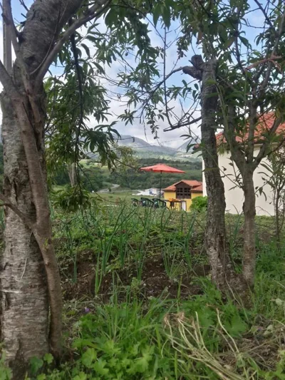 La Maria Diego — foto 9
