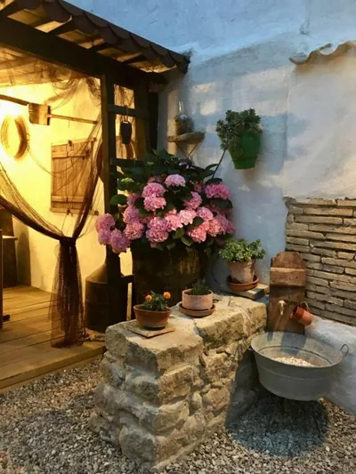 La mimosa — foto 6