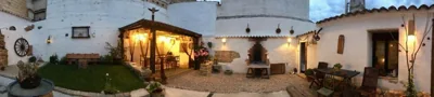 La mimosa — foto 10