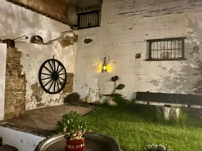 La mimosa — foto 11