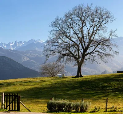 La Montaña Mágica Hotel Rural — foto 12