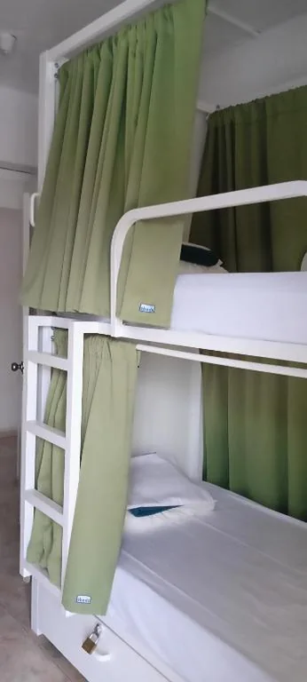 Posto letto in dormitorio femminile da 6 posti (solo adulti) — La Moraga de Poniente Malaga Hostel