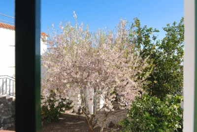 La Palma Hostel by Pension Central — foto 10