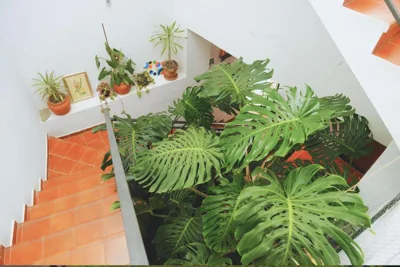 La Palma Hostel by Pension Central — foto 12