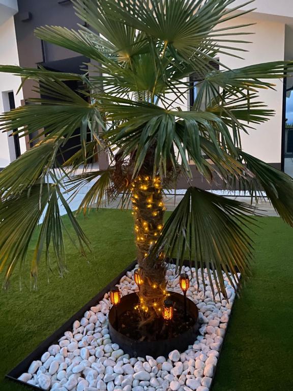 La Palmera del Sotillo