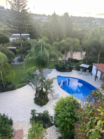 La Pina Verde — foto 5