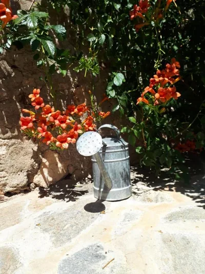 La Posada Amena — foto 12