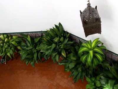 La Posada de Manolo — photo 7