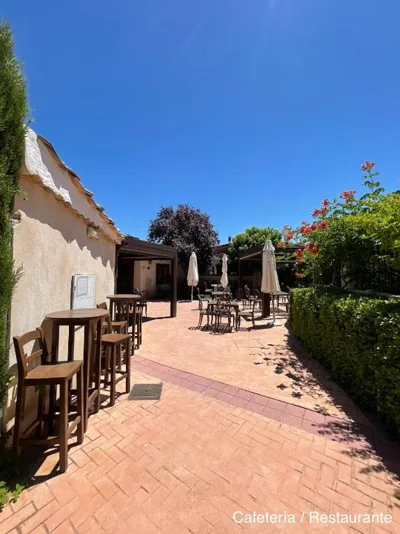 La Posada de Pesquera — foto 3
