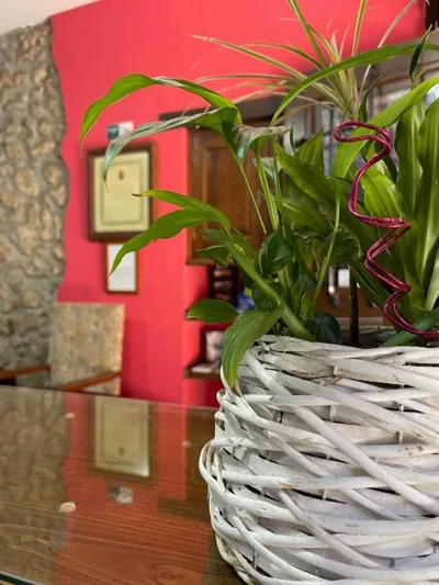 La Posada del Rey — Foto 11