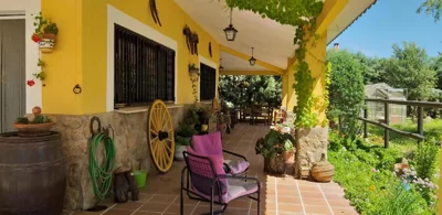La Posada Hípica — foto 5