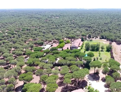 La Posada Real del Pinar — foto 10