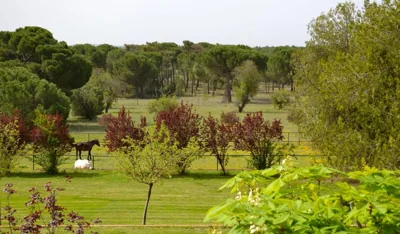 La Posada Real del Pinar — foto 11