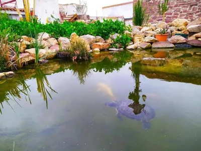 La Quibla de Abuhan — foto 10