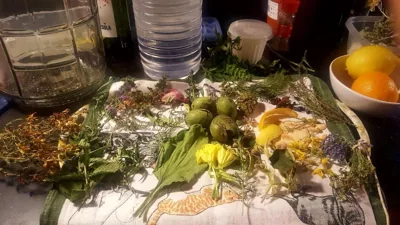 La Rectoria De Sant Miquel De Pineda — foto 9